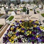 sincan-cimsit-mezarligi